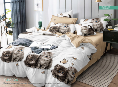 КПБ Поплин Арт. F-68024